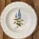 Set of 5 botanical deep plates, ADP Haute Provence