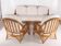 Rattan "leaves" salon