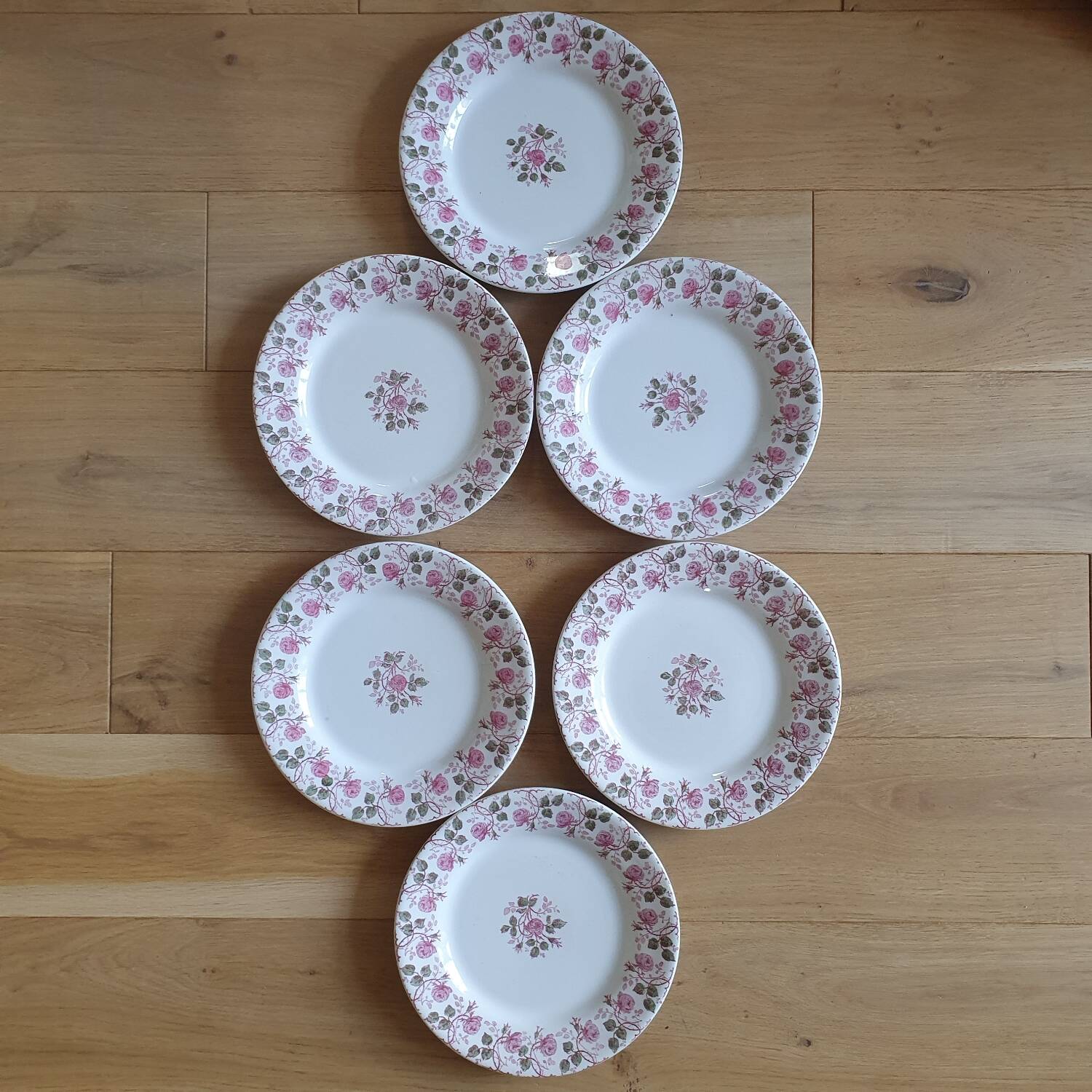 6 Terre de Fer Gien plates