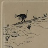 Engraving "Ostrich Hunter" 1950s