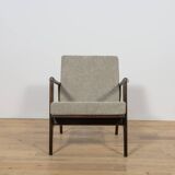 Model 300-139 Armchair from Swarzędz Factory, Poland, 1960s