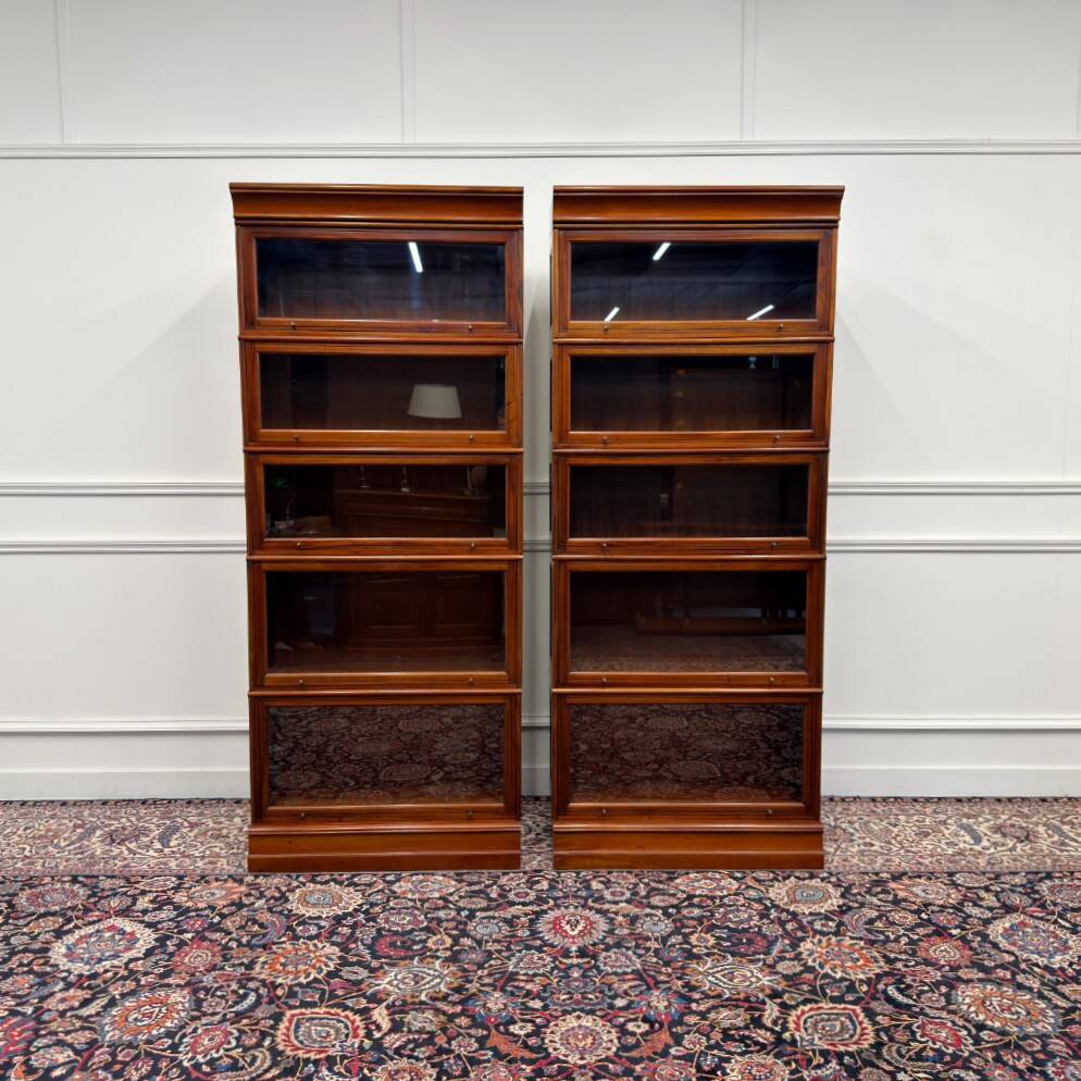 Bibliothèque Globe Wernicke classique en anglais