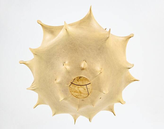 Large Taraxacum chandelier by Achille & Pier Giacomo Castiglioni for Flos