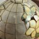 Pendant light, chandelier in mother-of-pearl and brass