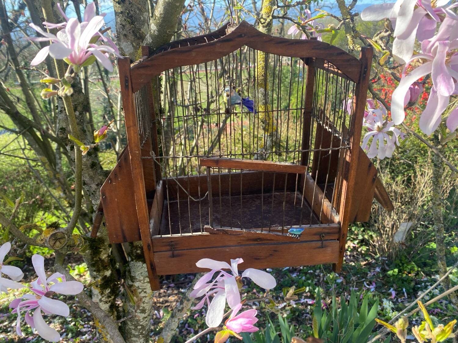 Antique wooden birdcage