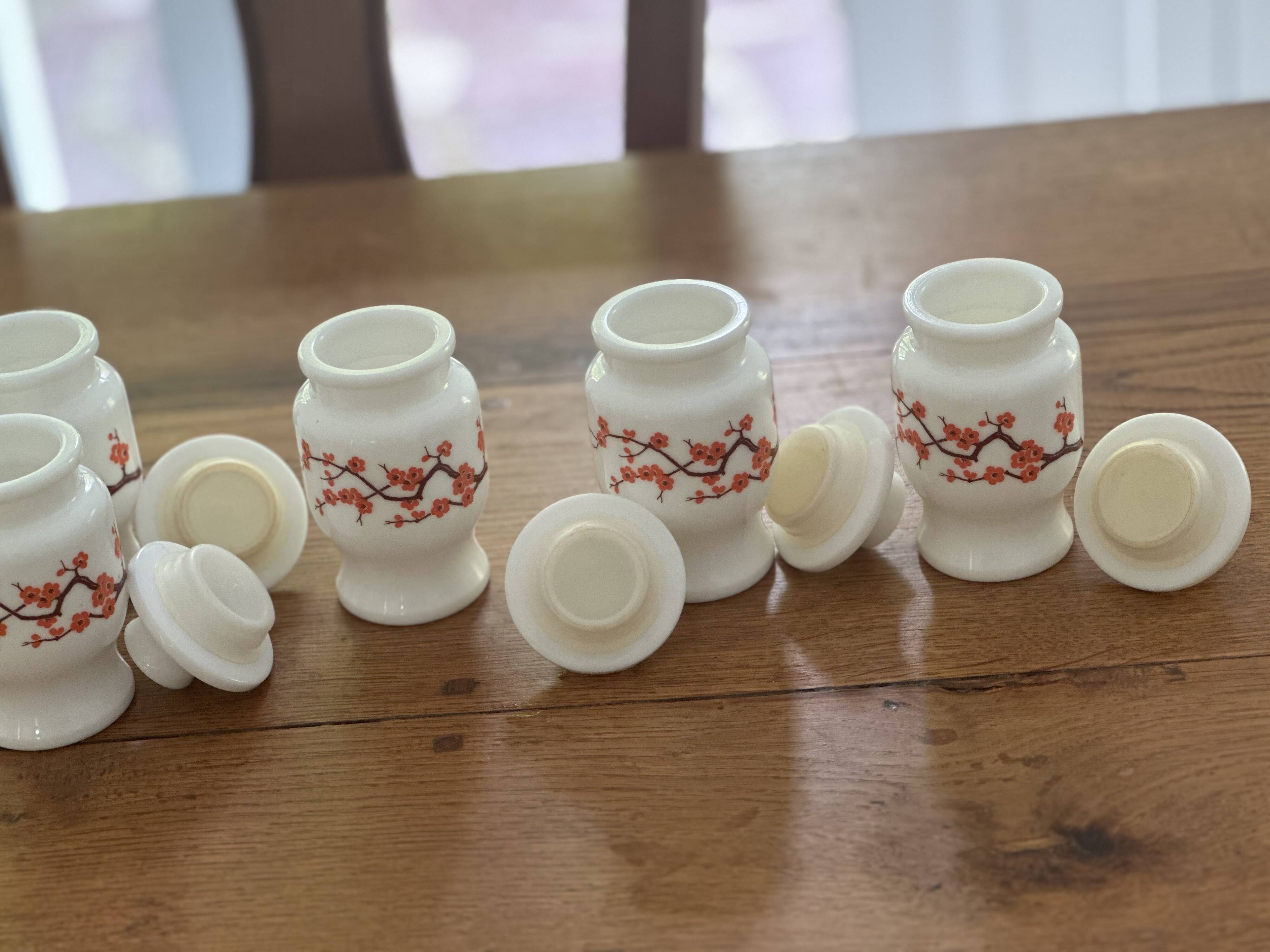 Set of 5 vintage opaline Ariel spice jars