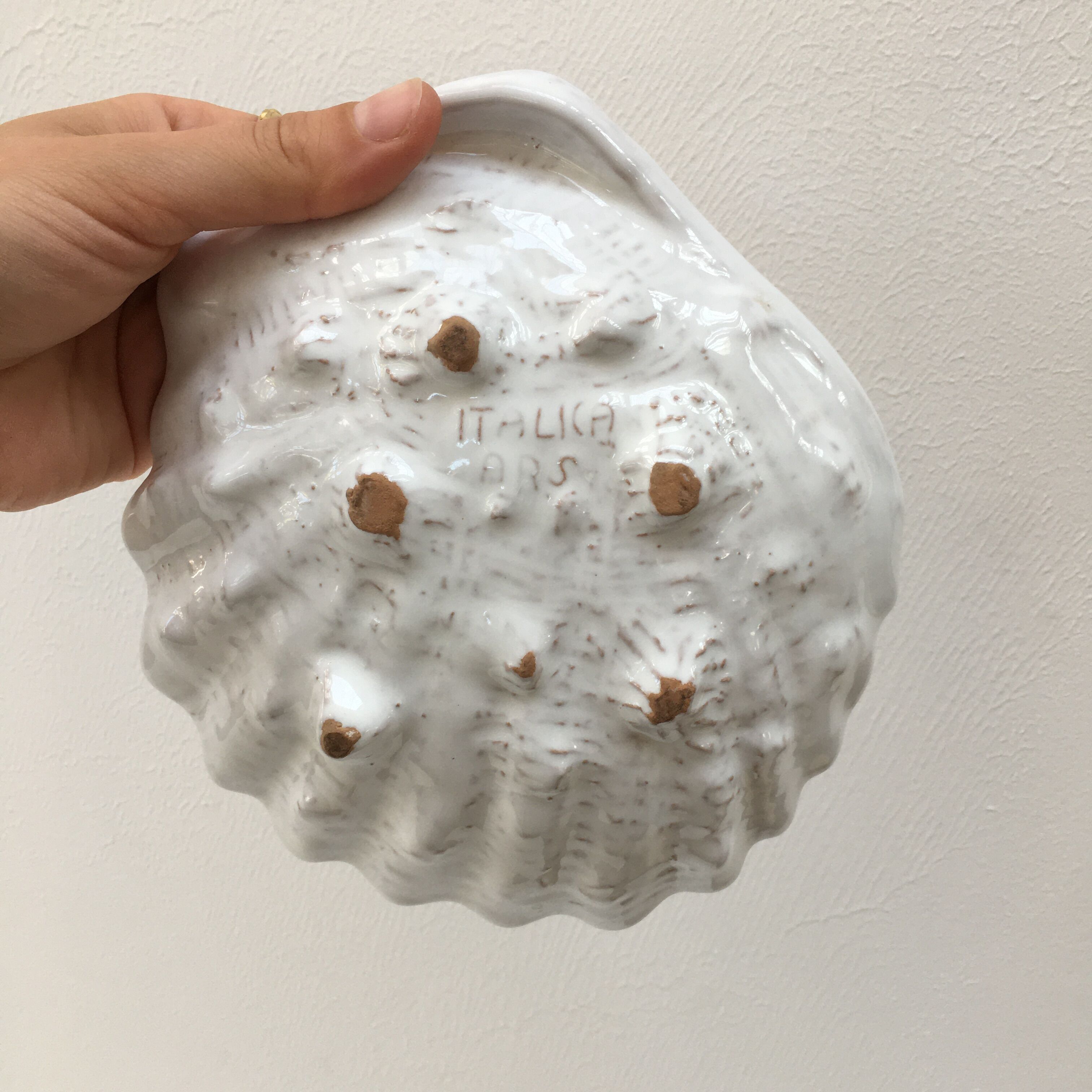 Empty ceramic shell pocket Italica Ars