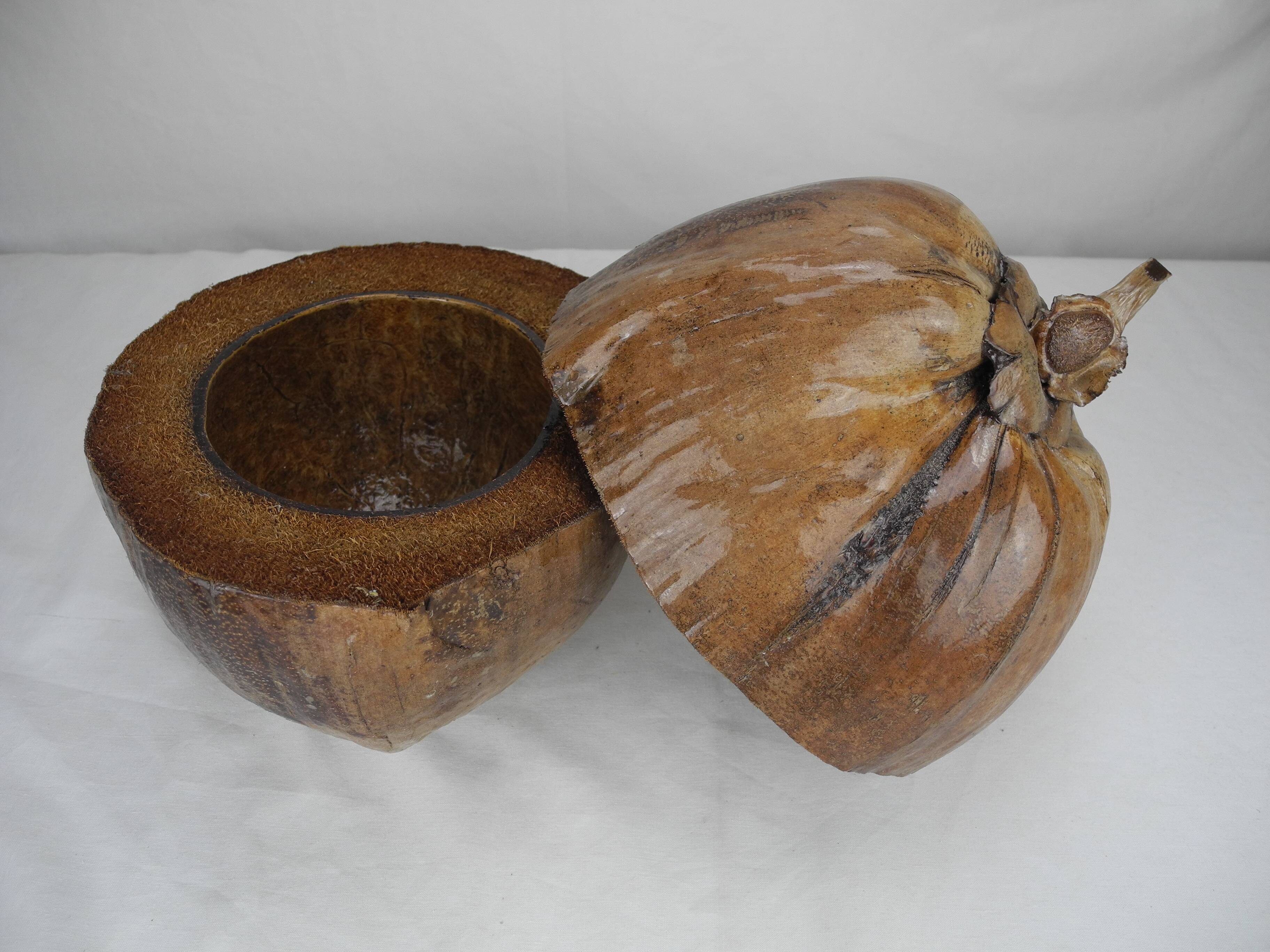 Old vintage decorative coconut ice cube bucket