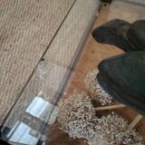 Old oak counter display case