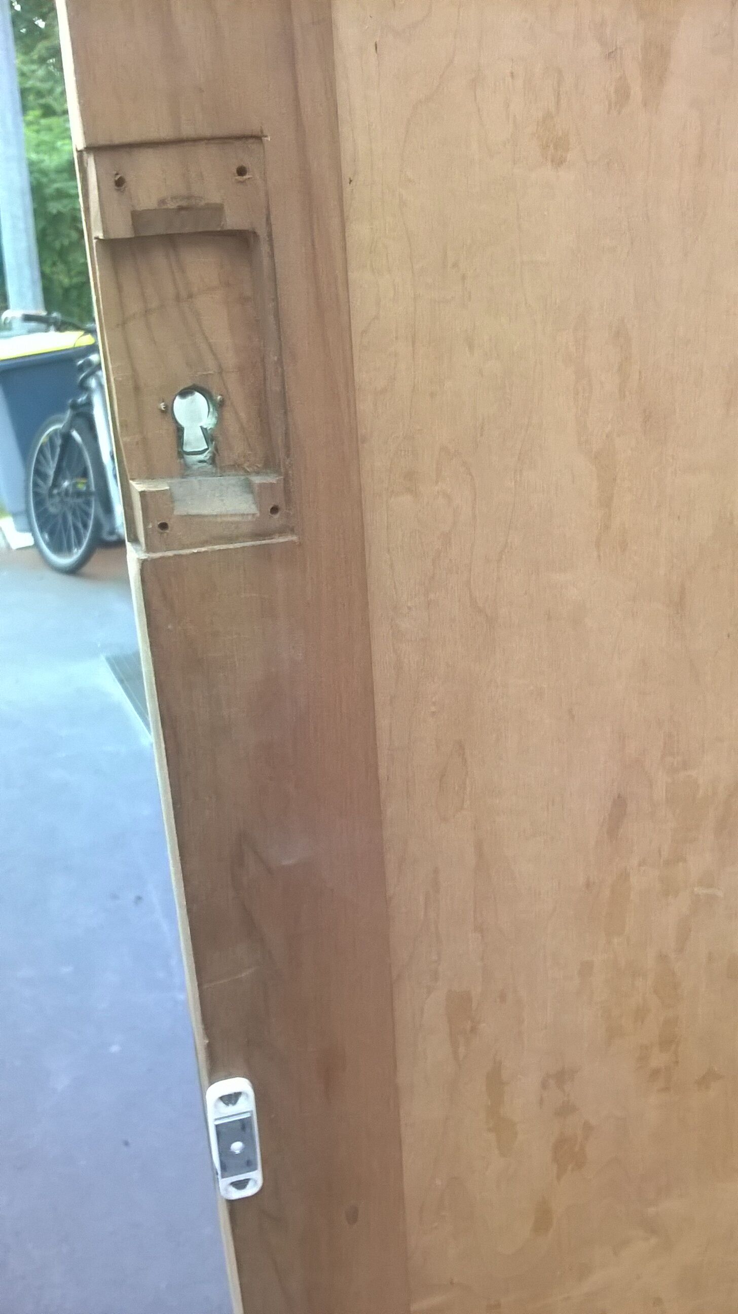 Parisian art nouveau wardrobe