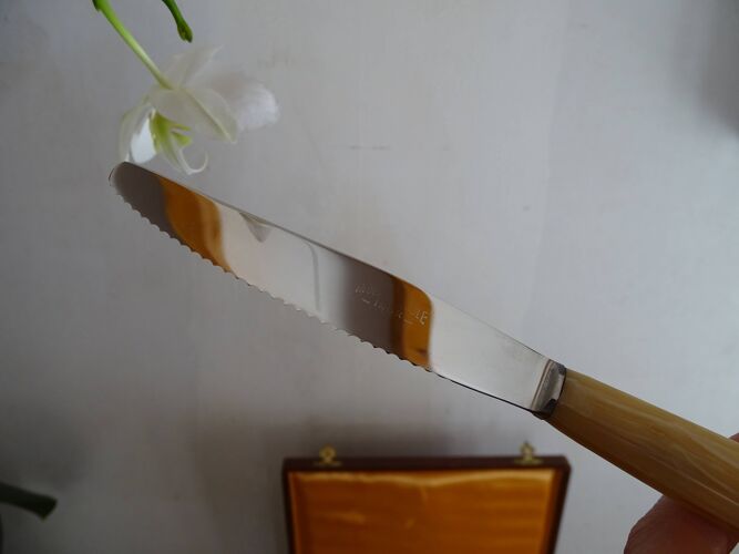 12 couteaux anciens inox vintage en écrin