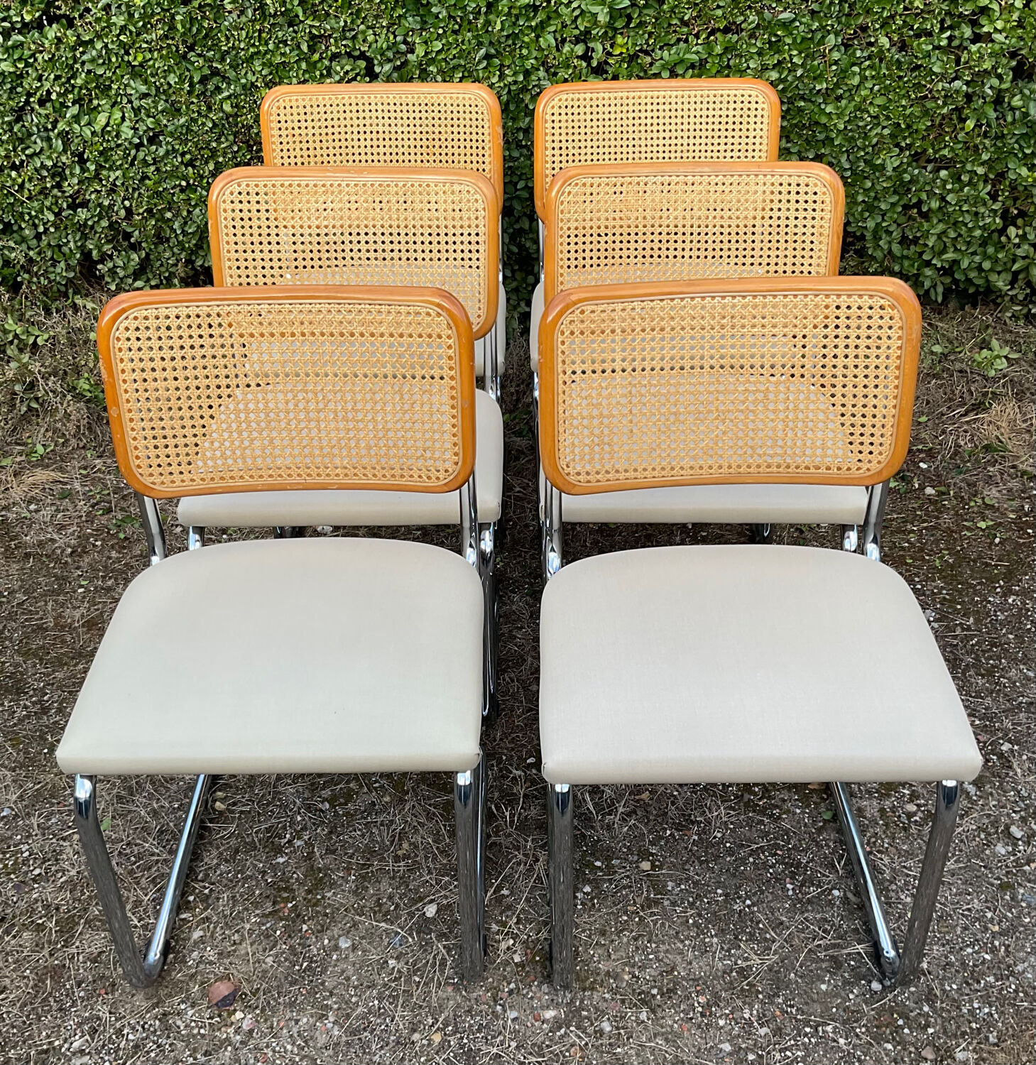 Series of 6 chairs Marcel Breuer Cesca B32