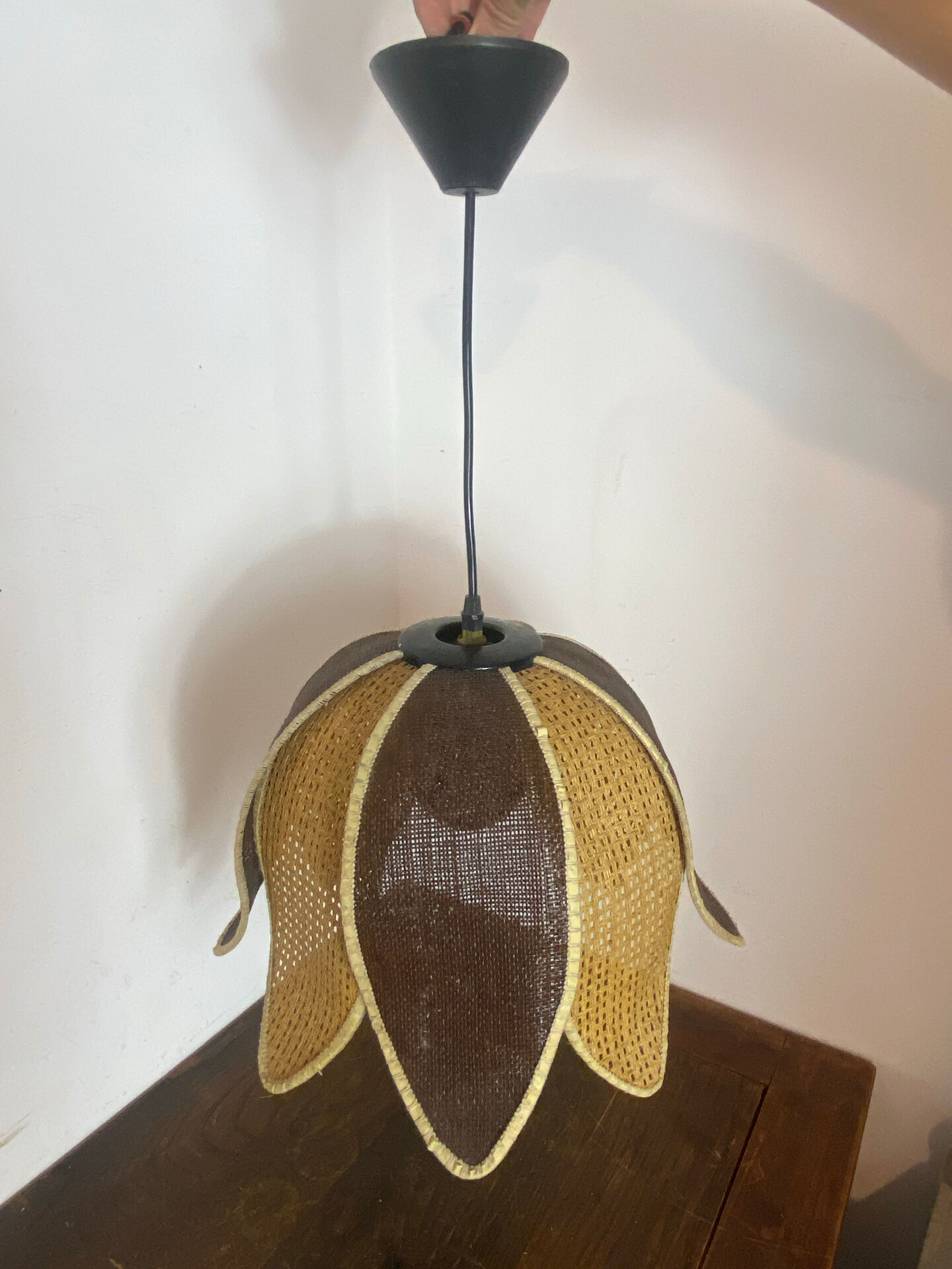 Organic rattan suspension