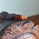 Serre livre en bois sculpté vintage