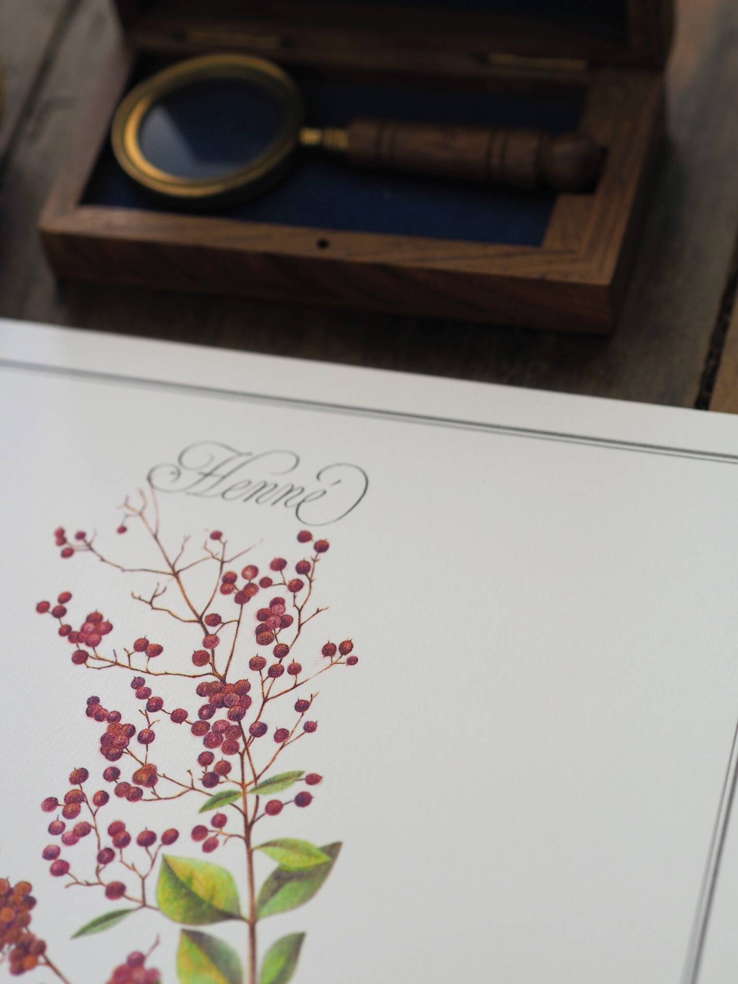 Henna, printed illustration from 1986. Vintage Botany. 24X31cm