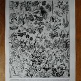 Original lithograph on flowers (2)