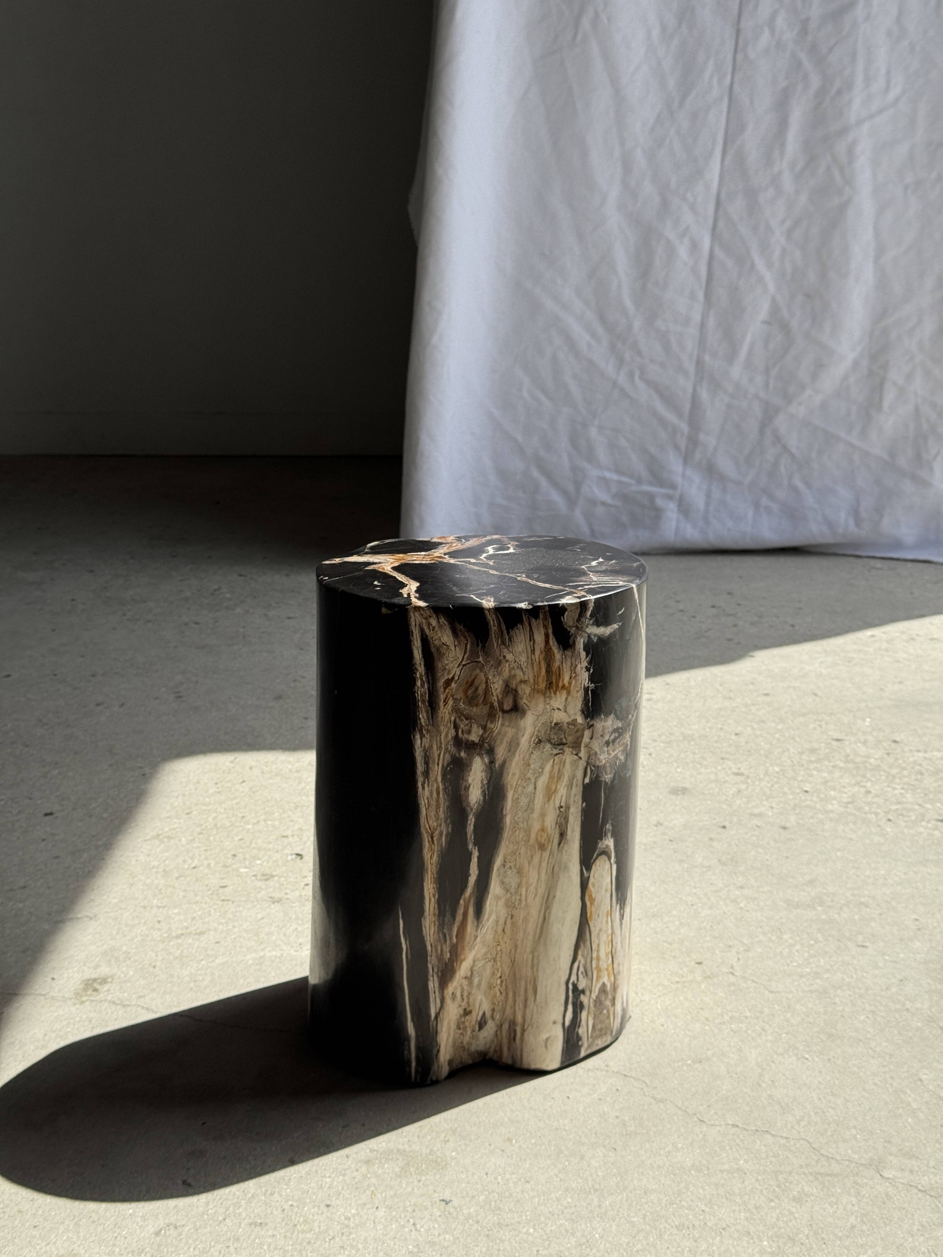 Black petrified wood side table with beige stripes, star pattern H35 D24.