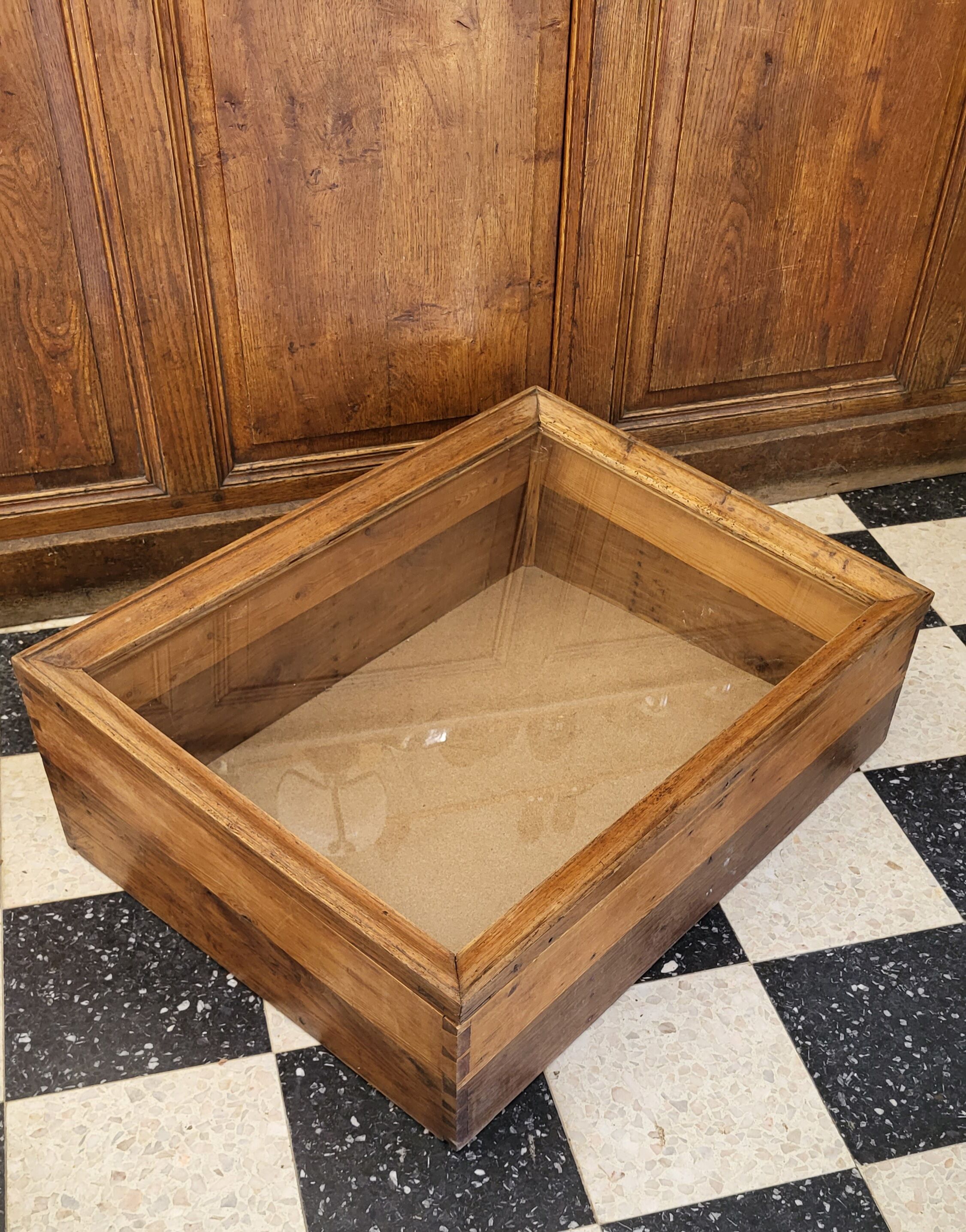 Vitrine de comptoir en chêne Fin XIXème / Déb. XXème