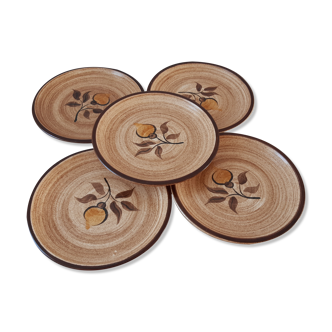 Set of 5 dessert plates in Salins stoneware 70s