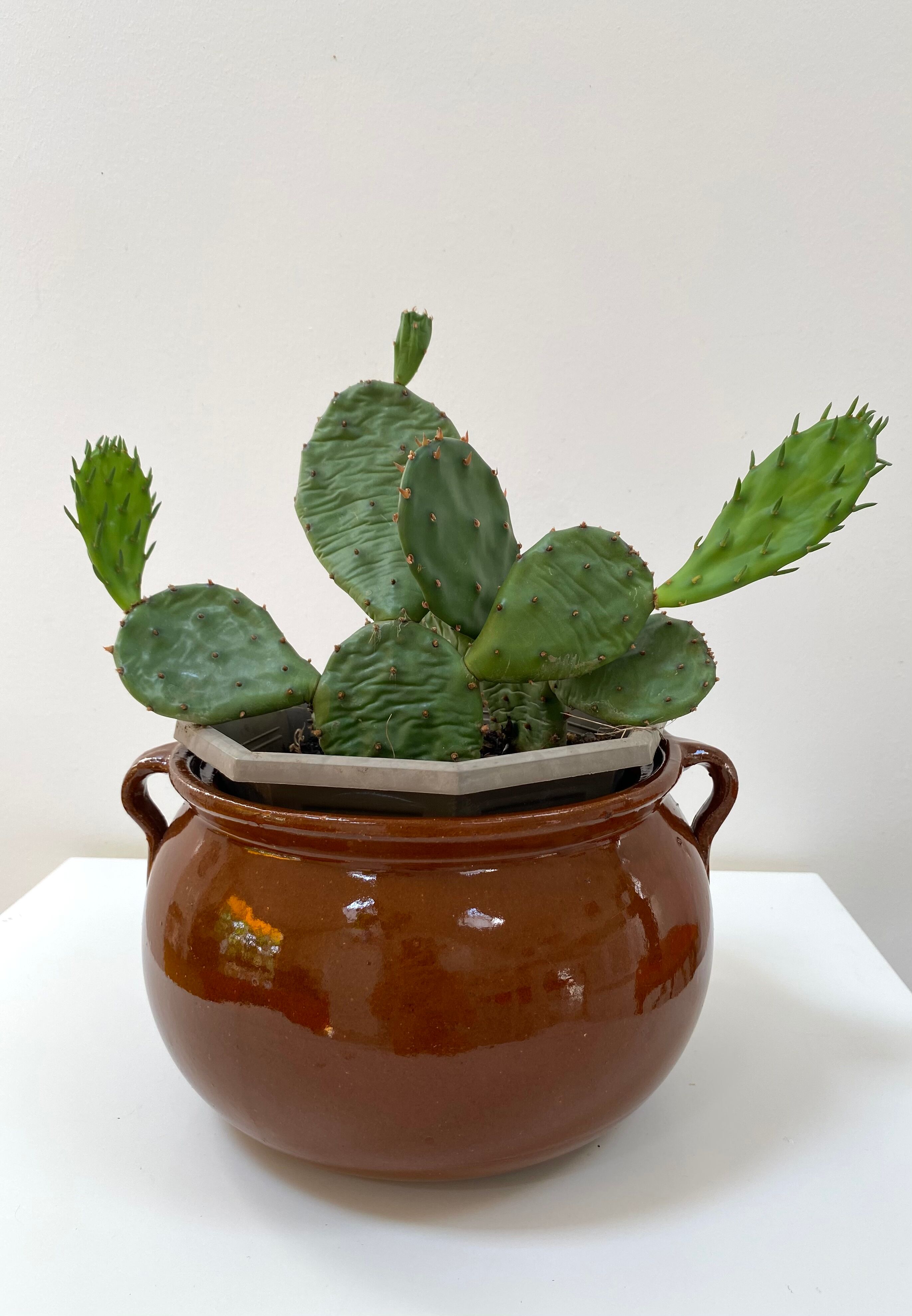 Glazed sandstone pot cover