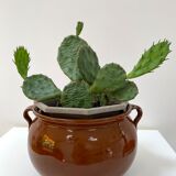 Glazed sandstone pot cover