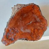 Vintage brutalist coffee table in elm magnifying glass