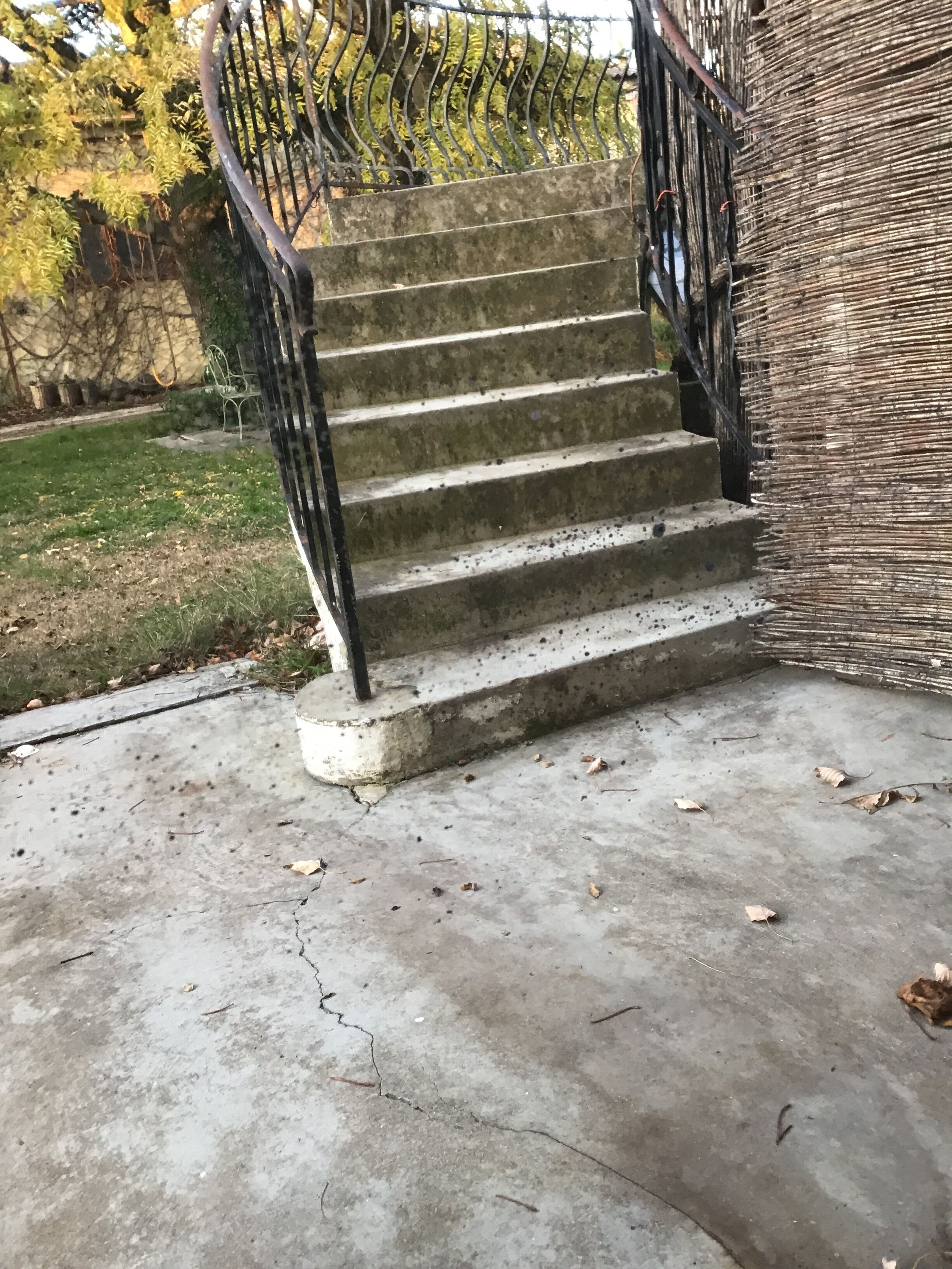 Louis Philippe mirror 142x86