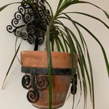 Old wall plant door