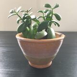 Glazed terracotta salad bowl