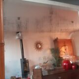 Bamboo barber mirror 20s