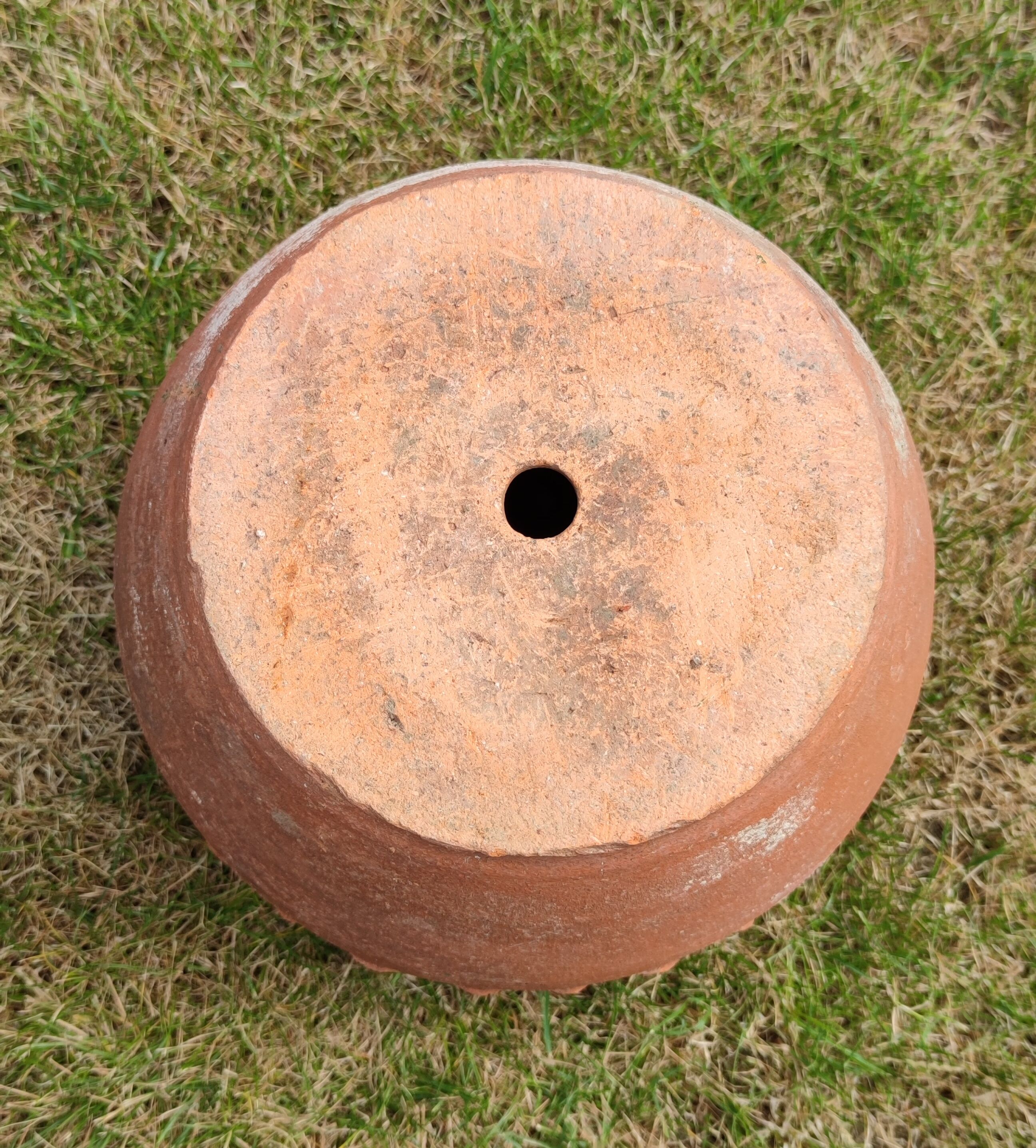 Terracotta pot