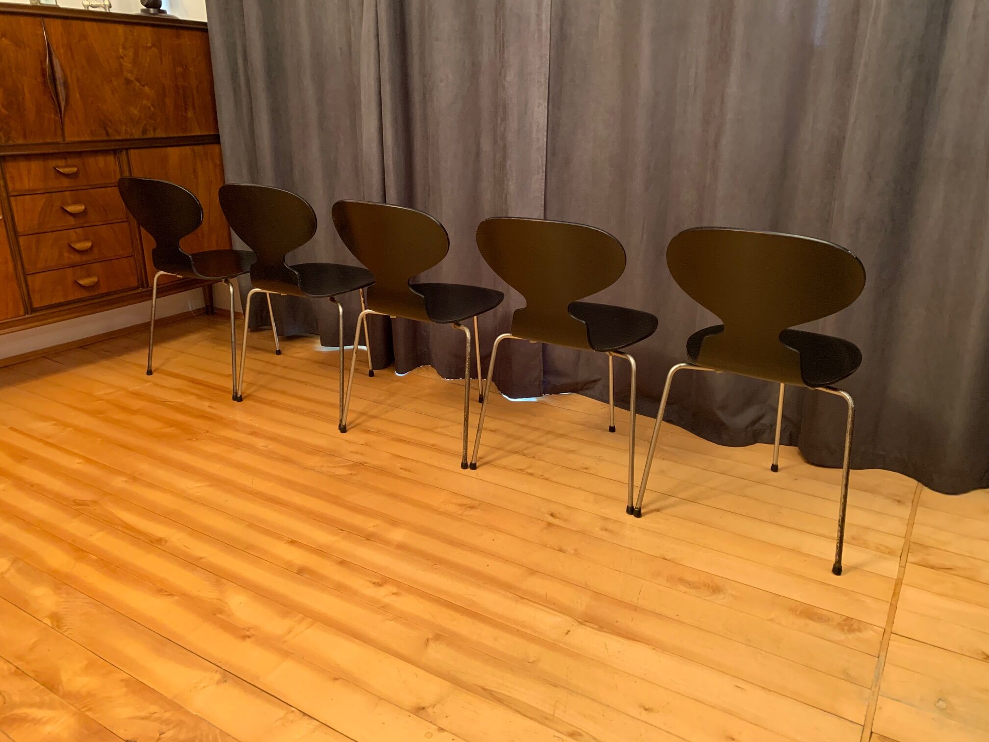 A set of five chairs Early model 3100 by Arne Jacobsen, Fritz Hansen, Denmark, 1963