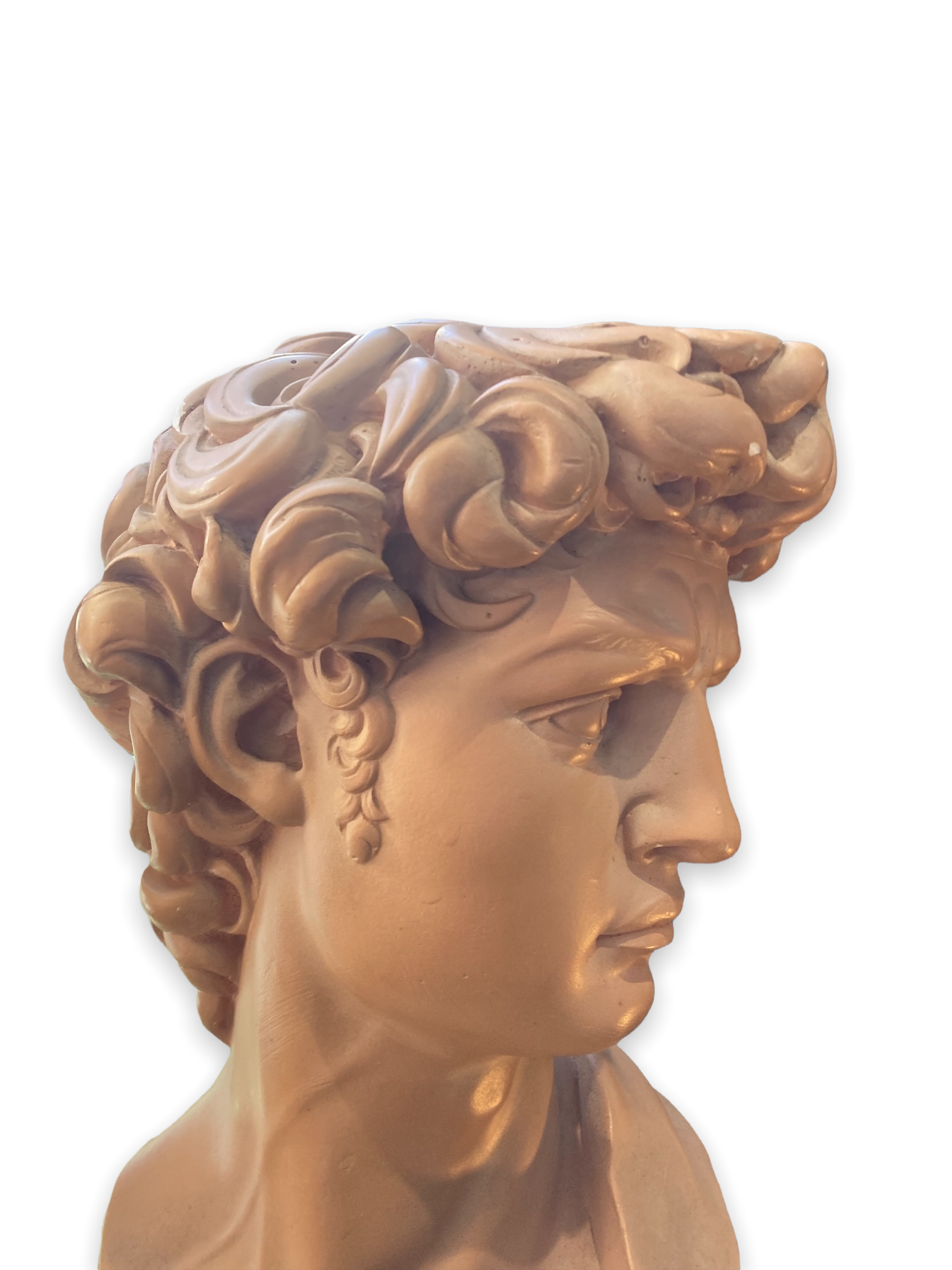 Bust David in plaster
