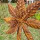 spinning flower, iron windmill