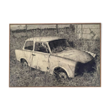 The trabant