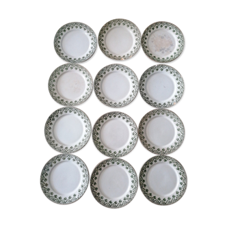 Set of 12 plates clover Badonviller ft