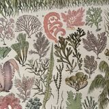 Lithograph on algae from 1897
