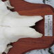 Trophée de chasse cornes d'élan