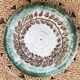 Albert Thiry dish