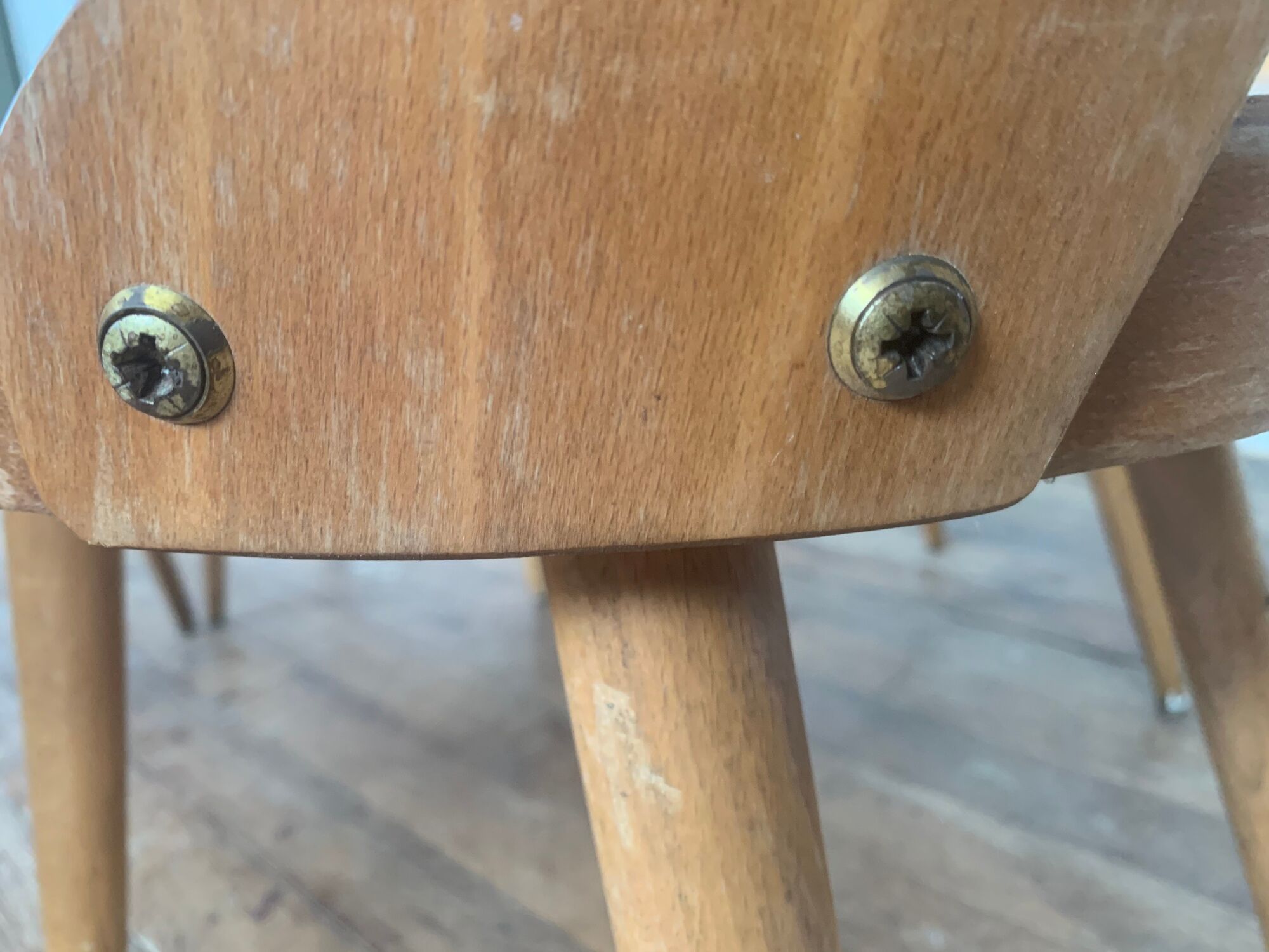 Series of 6 chairs bistro Baumann model Dove year 1950/1960
