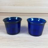 PAIR OF DARK BLUE PHOTOPHORES