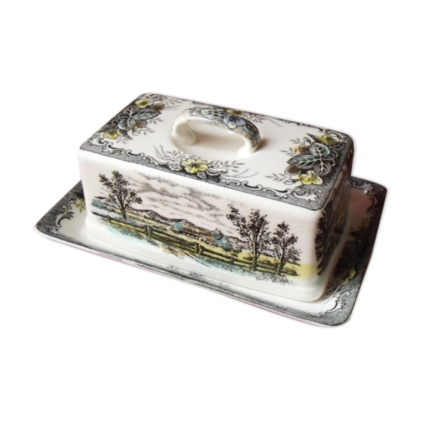 Butter dish