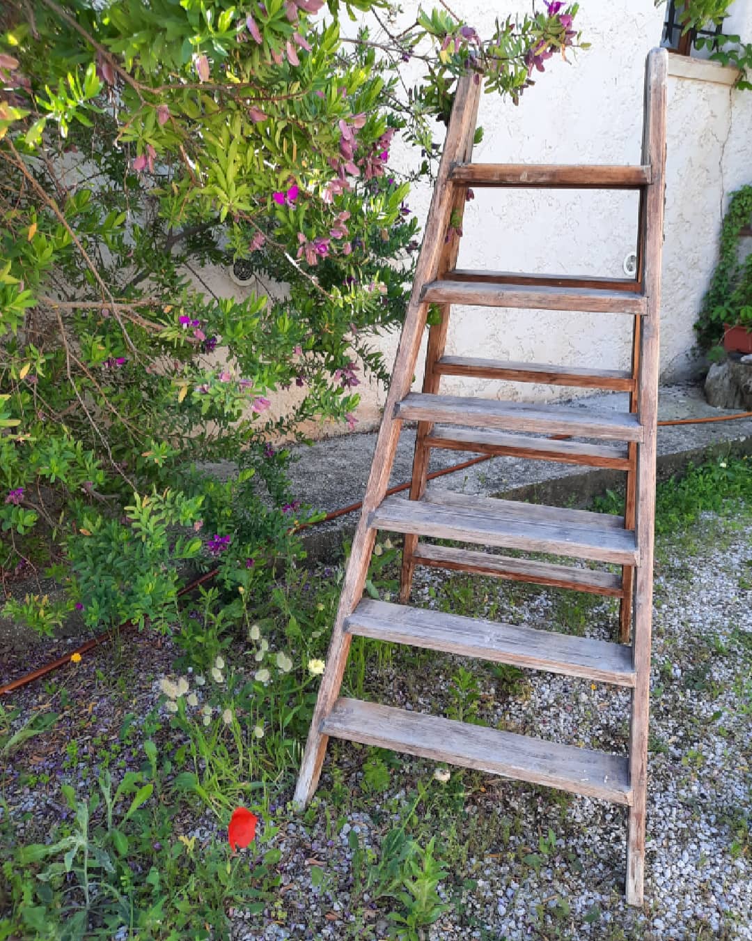 Vintage wooden stepladder
