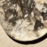Very large pocket or dish in petrified wood