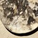 Very large pocket or dish in petrified wood
