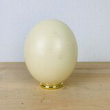 Golden ostrich egg object of curiosity