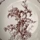 Gien earthenware plates with thistle decoration, set of 6.