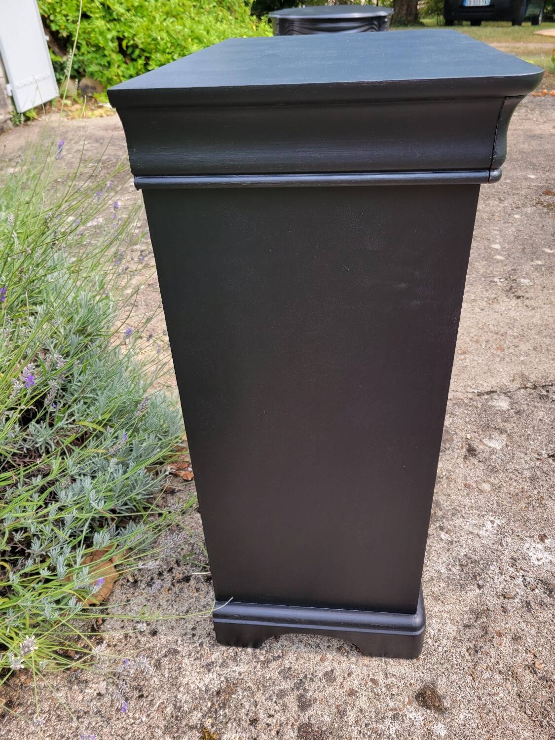 Louis Hilippe black chiffonier