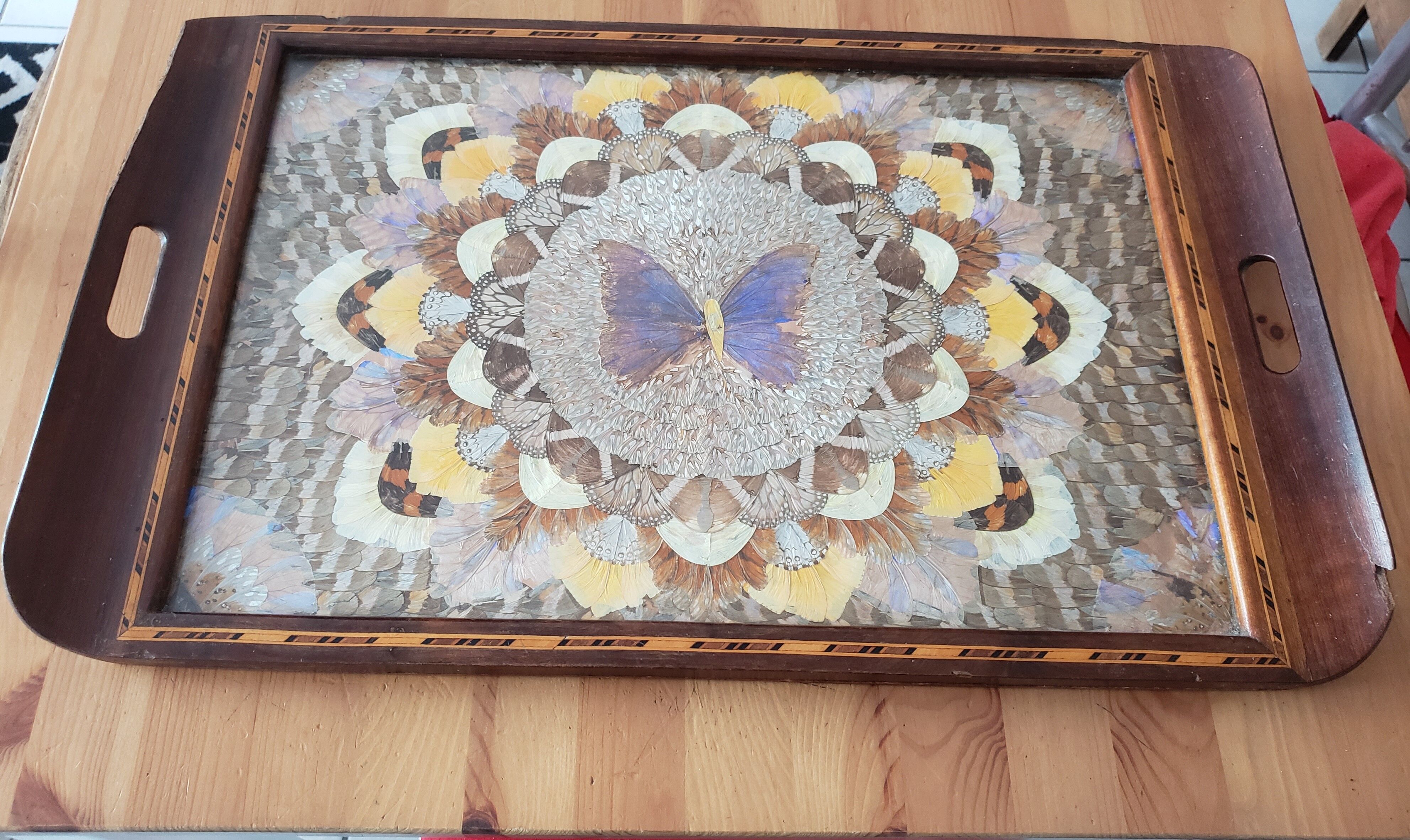 Butterfly wing tray