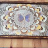 Butterfly wing tray